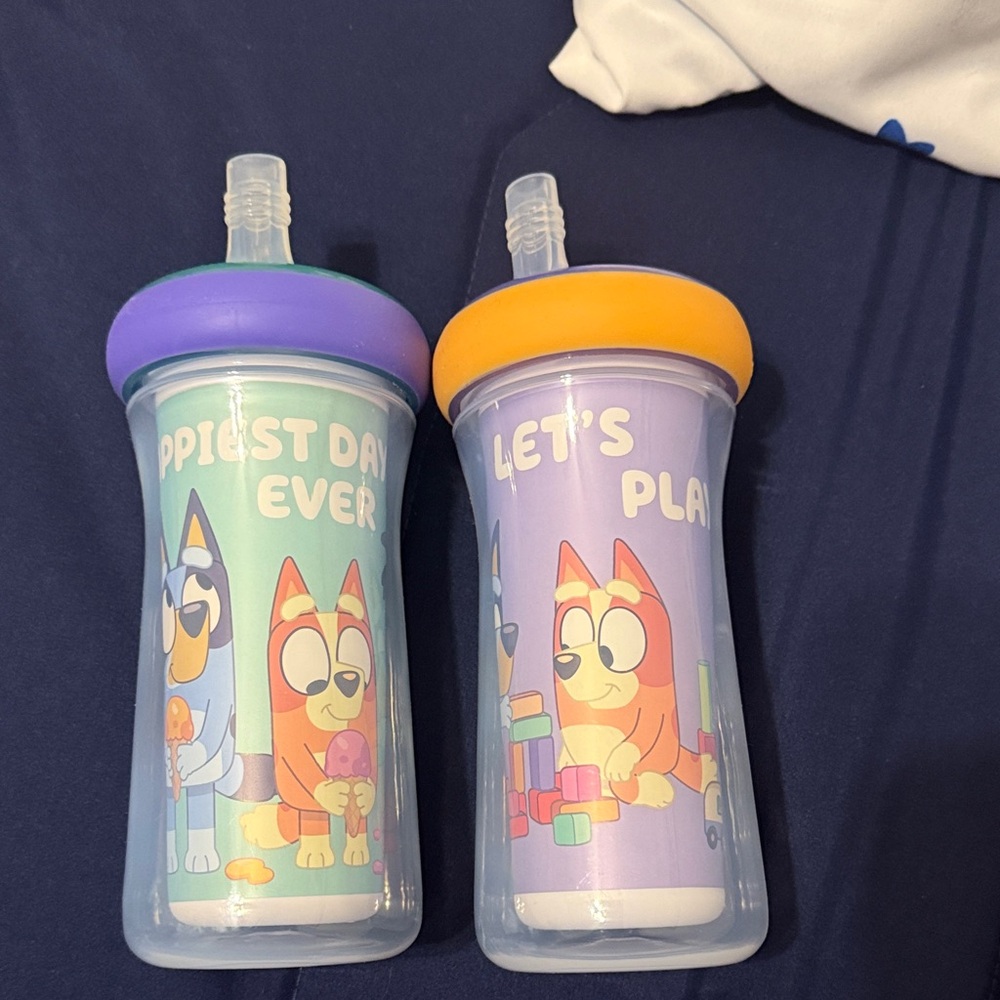 Bluey and Bingo Sippy Cups